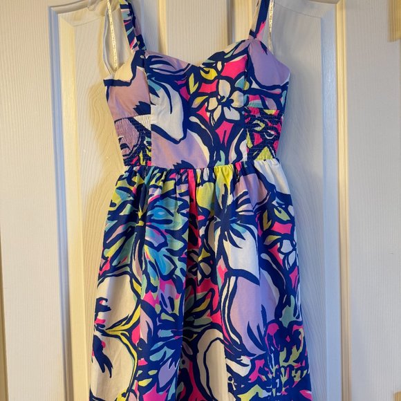 NEW WITH TAGS- Lilly Pulitzer Christine dress size 00 - Picture 2 of 7
